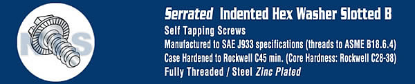 Slotted Indented Hex Washer Self Tapping Screw Type B Serrated Fully Thread Zinc