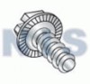 Slotted Indented Hex Washer Self Tapping Screw Type B Serrated Fully Thread Zinc