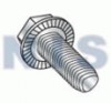 Unslotted Indented Hex Washer Serrated Taptite Screw Full Thread Zinc Bake Wax