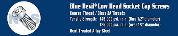 Coarse Thread Low Head Socket Cap Screw Plain