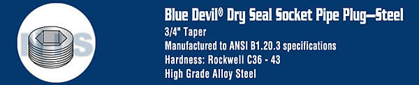 Dry Seal Socket Pipe Plug Plain