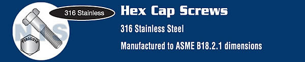 Hex Cap Screw 316 Stainless Steel