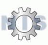 External Tooth Lock Washer 18 8 Stainless Steel