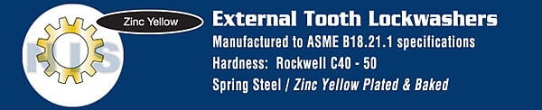 External Tooth Lock Washers