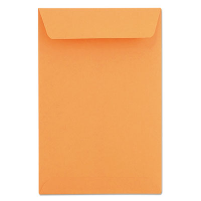 Universal&reg; Catalog Envelope