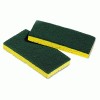 Sponges