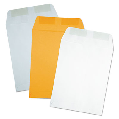 Quality Park&trade; Catalog Envelope