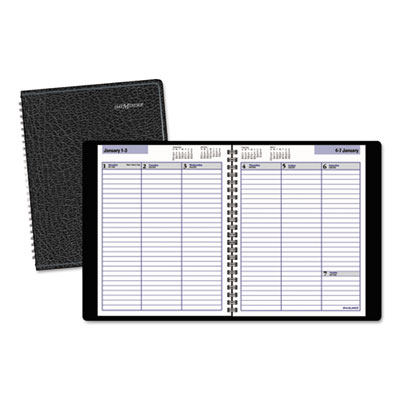 DayMinder&reg; Weekly Appointment Book