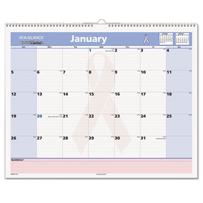 AT-A-GLANCE&reg; QuickNotes&reg; Special Edition Wall Calendar