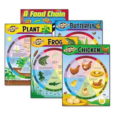 TREND&reg; Learning Chart Combo Pack