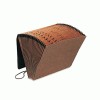 Pendaflex&reg; All Purpose Expanding File