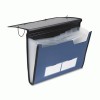 Pendaflex&reg; Professional Expanding Organizer