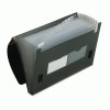 Pendaflex&reg; 13-Pocket File