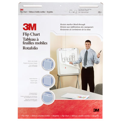 3M Professional Flip Chart