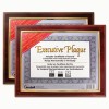 NuDell&trade; Executive Plaque