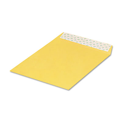 Quality Park&trade; Redi-Strip&trade; Catalog Envelope