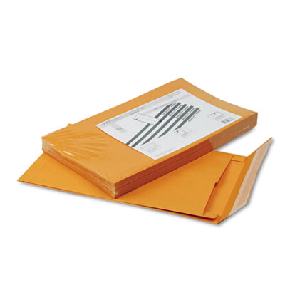 Quality Park&trade; Redi-Strip&trade; Kraft Expansion Envelope