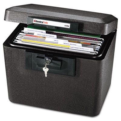 Sentry&reg; Safe Fire File