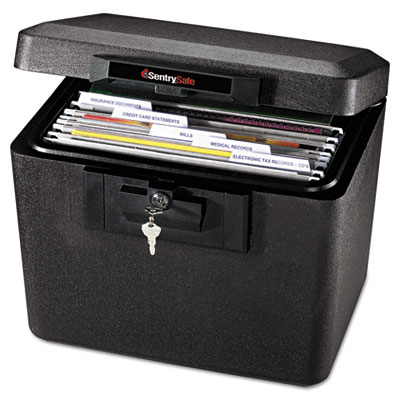 Sentry&reg; Safe Fire File