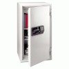 Sentry&reg; Safe Commercial Fire-Safe