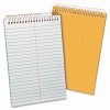 Ampad&reg; Recycled Steno Book