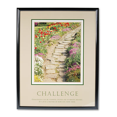 Advantus&reg; Framed Motivational Print