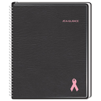 AT-A-GLANCE&reg; QuickNotes&reg; Special Edition Weekly/Monthly Appointment Book