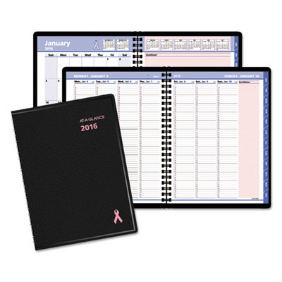 AT-A-GLANCE&reg; QuickNotes&reg; Special Edition Weekly/Monthly Appointment Book