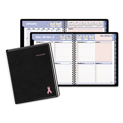 AT-A-GLANCE&reg; QuickNotes&reg; Special Edition Weekly/Monthly Appointment Book