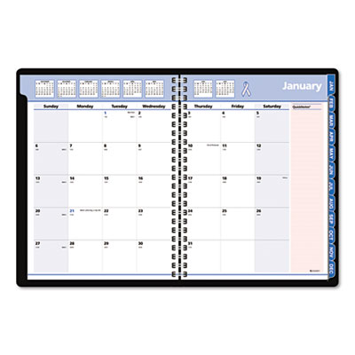 AT-A-GLANCE&reg; QuickNotes&reg; Special Edition Monthly Planner