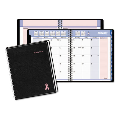 AT-A-GLANCE&reg; QuickNotes&reg; Special Edition Monthly Planner