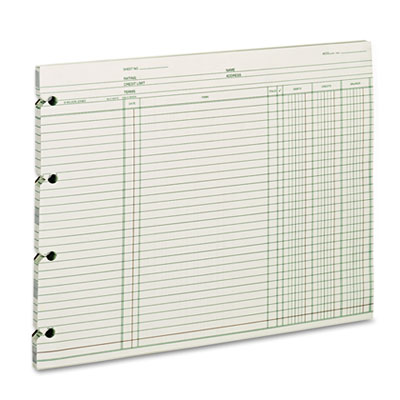 Wilson Jones&reg; End Balance Ledger Form