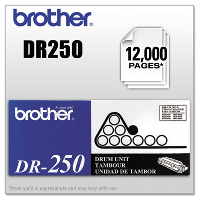 Brother&reg; DR250 Drum Unit