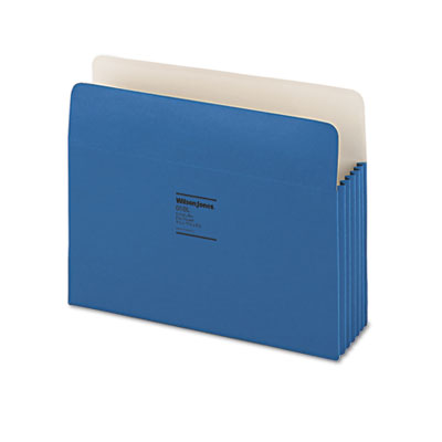 Wilson Jones&reg; ColorLife&reg; Expanding File Pockets