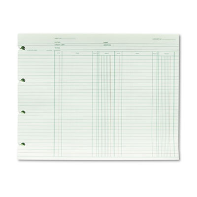 Wilson Jones&reg; Double Entry Ledger Form