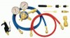 TurboTorch&reg; Nitrogen Purge Kits