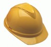 V-Gard&reg; 500 Protective Caps