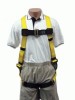 3M Personal Safety Division Safelight&trade; Harnesses